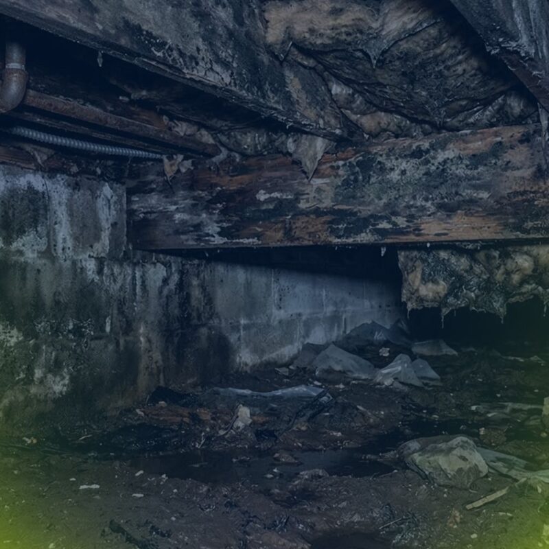 Crawl space moisture problems visible as mold growth on floor joists, damp concrete walls, and standing water with debris on the ground.