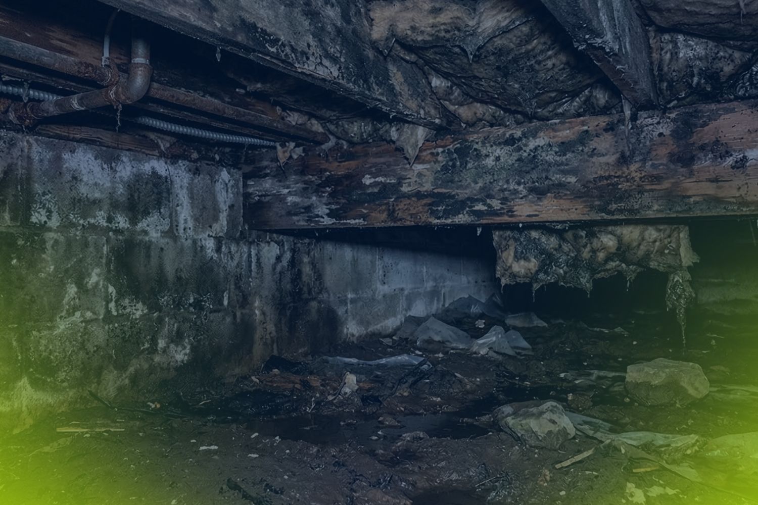 Crawl Space Moisture Problems That Get Worse Every Spring