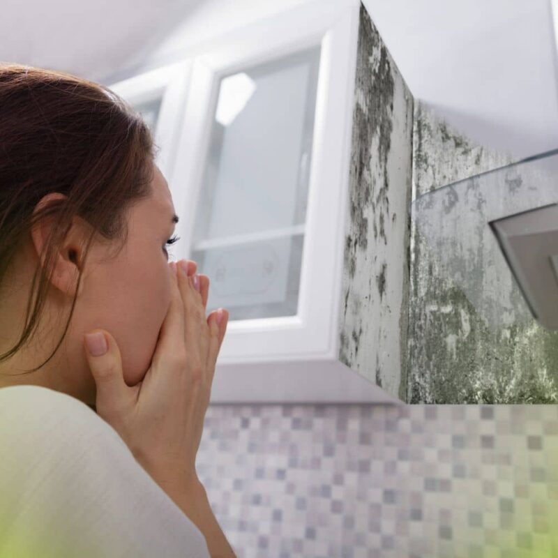 can you smell mold what that musty odor is trying to tell you